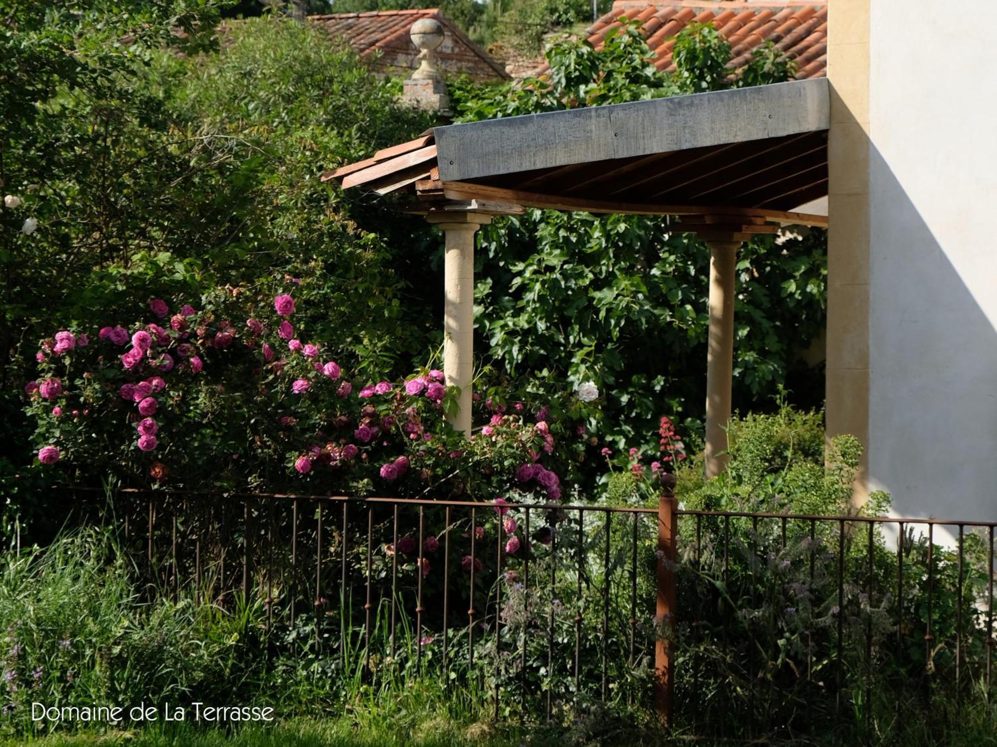 شقة Domaine De La Terrasse Carbonne المظهر الخارجي الصورة