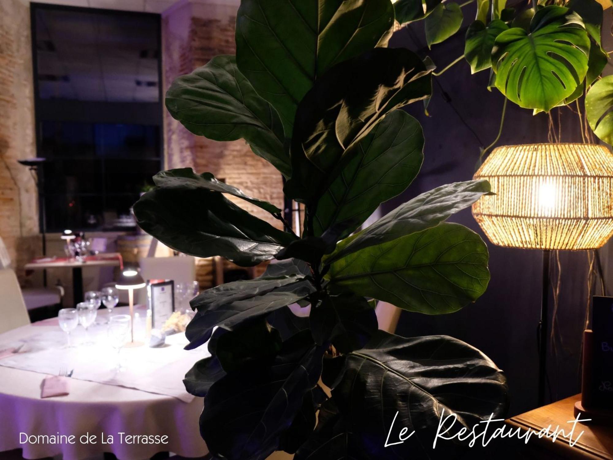 شقة Domaine De La Terrasse Carbonne المظهر الخارجي الصورة